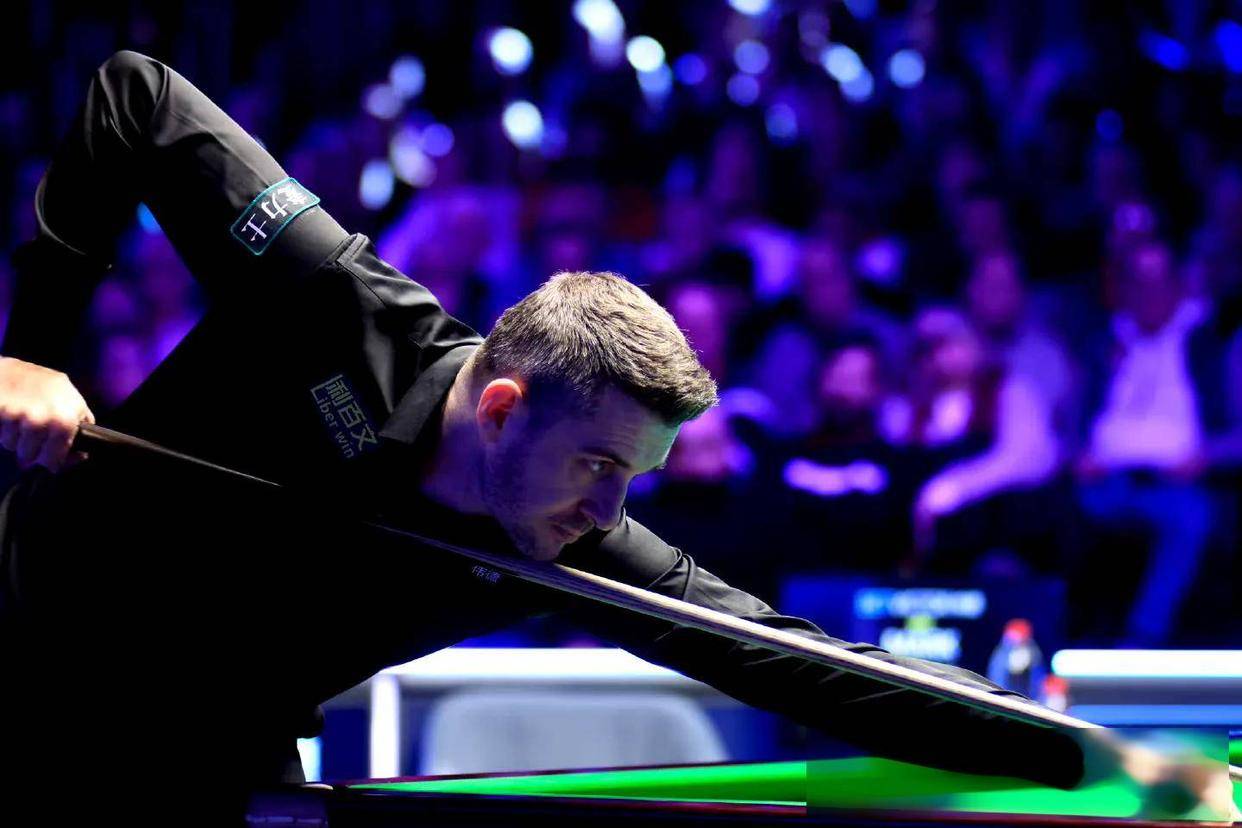 霍芬海姆v 霍芬海姆v